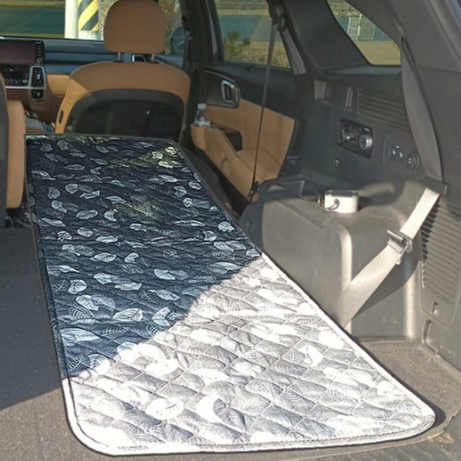 비오랩 차량용 전기장판 휴대용 차박 경량 12V/24V 그레이, 그레이 12V