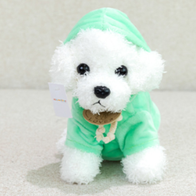 네이처타임즈 부들푸들 후드 강아지 봉제인형 + 강아지 키링 랜덤발송, 25cm, 그린, 1세트