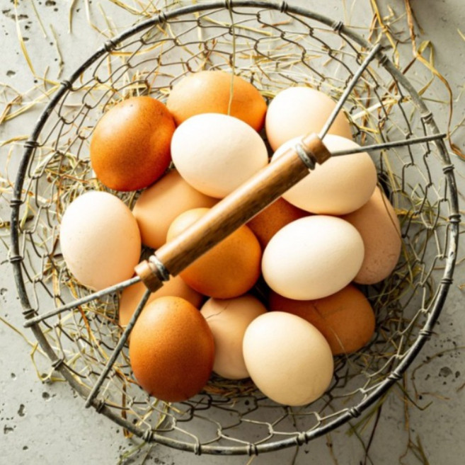 난각번호1번 초란 영양만점 유기축산물 유정란 무항생제 해썹인증 유기농 친환경 계란 산림방사 방목, 1개, 40구