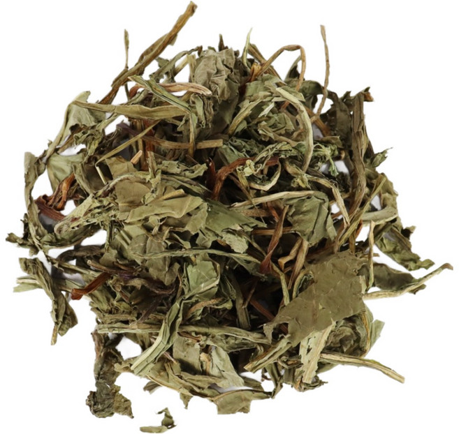 자연닮음 국산 민들레 포공영 300g, 1개, 1개입