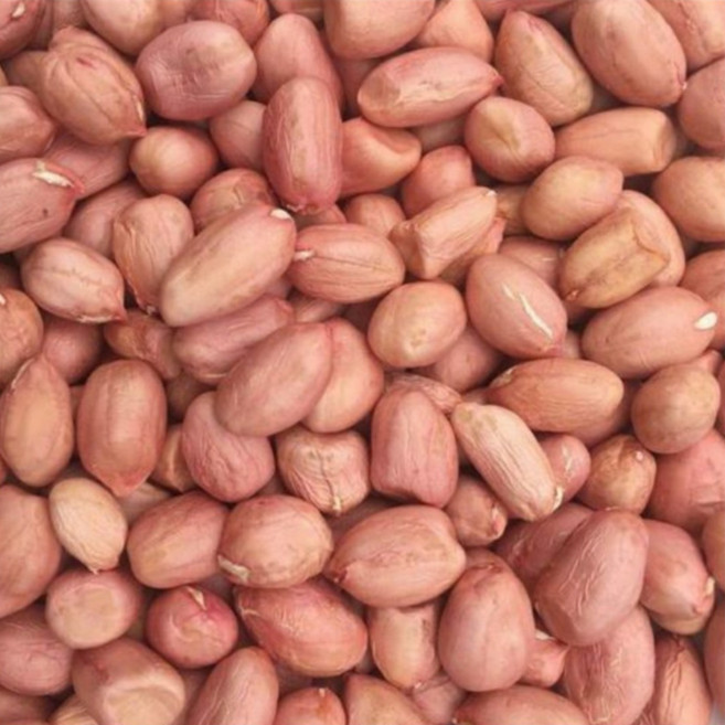 [오늘의 아시아푸드] 생땅콩 중국산생땅콩큰알(대), 1kg, 1개