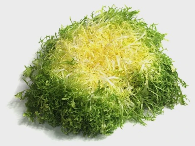 쉐프의정원 국산 프리세 3송이(송이당 150-250g), 3개, 150g-250g - 쿠팡