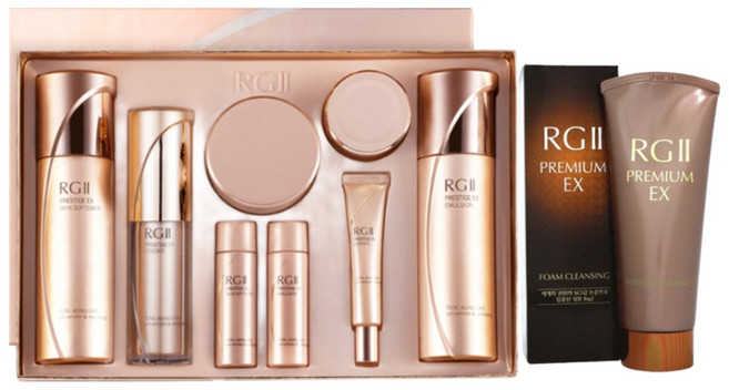 다나한 알지투 프레스티지 EX 4종 기획세트+다나한 알지투 프리미엄 EX 폼클렌징 200ml, 1세트