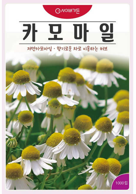 카모마일 씨앗 (1000립) 허브 꽃 관상 약용 차 종묘 종자 씨 영웅 KS, 1개