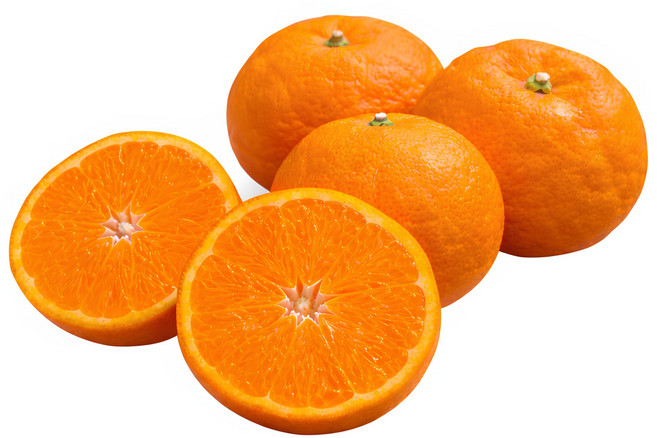 [재구매율1위] 16brix꿀당도 제주 카라향 귤, 1박스, 3kg(1000박스한정)