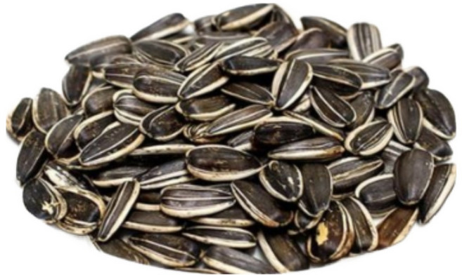 [당일배송] 세척 볶음 왕 해바라기씨 대형 해씨 햄스터 앵무새 간식, 3개, 300g