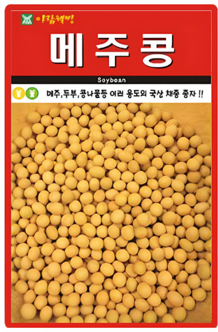 아람종묘 메주콩 씨앗 30g 국산 채종 백태콩씨 종자, 1개