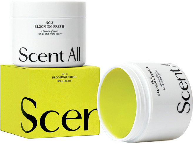 센트올 실내탈취제 블루밍프레쉬향 화장실 담배 새집증후군 실내 집안 홀애비 옷장 냄새 제거, 300g, 1개