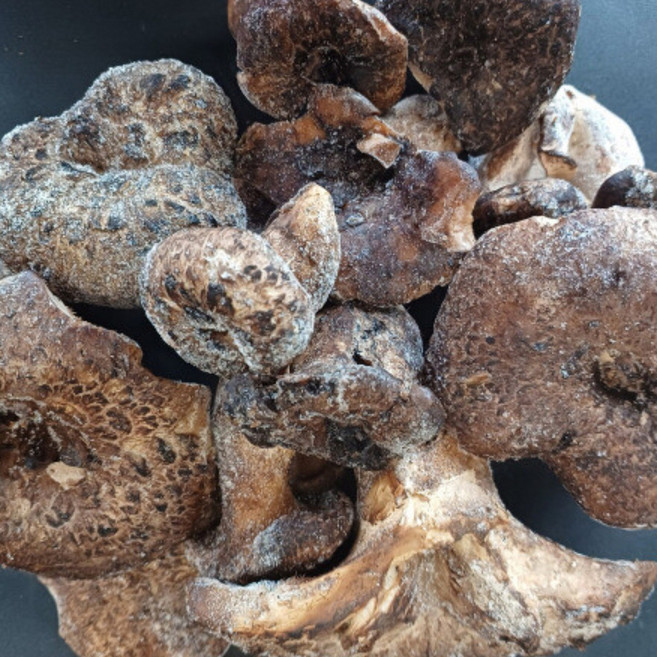 자연산 능이버섯 최상 A급 1KG, 5세트