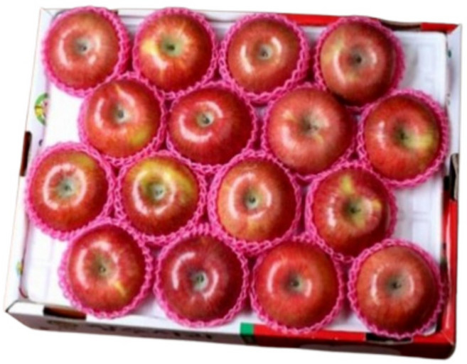 고품질 사과 경상북도 고당도 선물용 부사 사과 (정품), 1개, 5kg 대과 (정품)