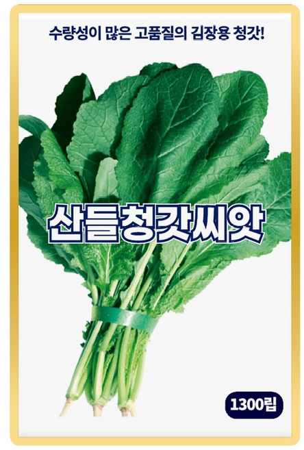 산들 청갓씨앗 1300립 수량성 많고 김장용 소량 청갓씨 종자, 1개