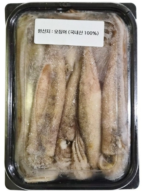 부전수산 냉동 신선한 국내산 오징어 1kg 오징어국 오징어튀김 오징어무침 오징어볶음 오징어숙회, 1개