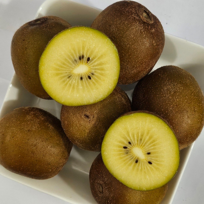 <제주빛가람> 국산 골드키위/신선달콤/프리미엄 과일/당도선별, 1박스, 5kg 소과(실속)