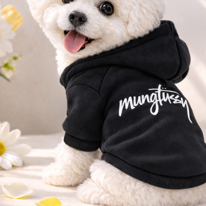[파라쥬]강아지후드티 소형견봄옷 애견옷 산책용 비숑 푸들 데일리룩 멍투시 스트릿패션, 멍블랙, 1개