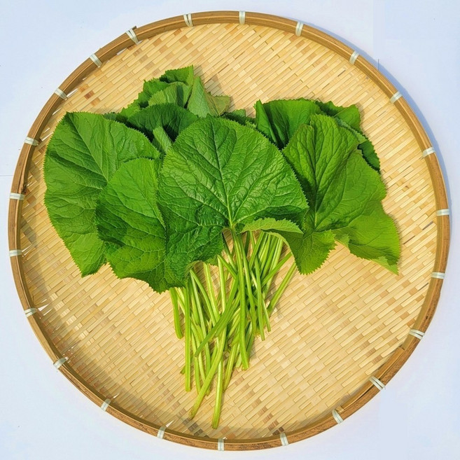 강원도 곰취나물 산지직송, 1개, 1kg
