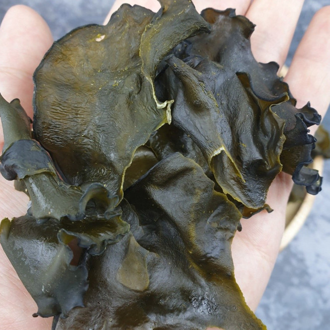 기장 손질 미역귀 마른 말린 건미역귀, 1개