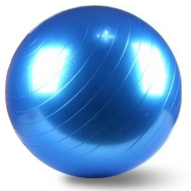 이도스포츠 다이어트 체형 짐볼 (초대형) 130cm, 파랑