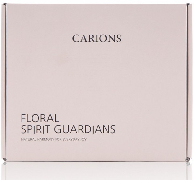 옷장용 좀벌레 퇴치제 방충제 방향제 냄새 탈취제 곰팡이제거제 프리지아향 홈세트 10개입, 190g, 2개