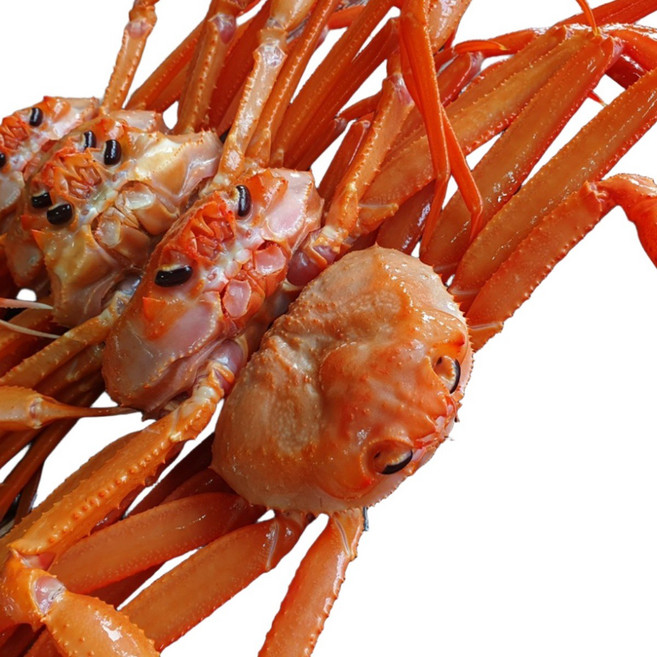 포항 구룡포 자숙 연지홍게 수율 70%내외 실속형, 1개, 3kg