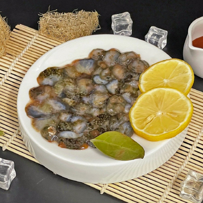 남해안 산지직송 자연산 활 해삼, 1개, 500g(5~10미)