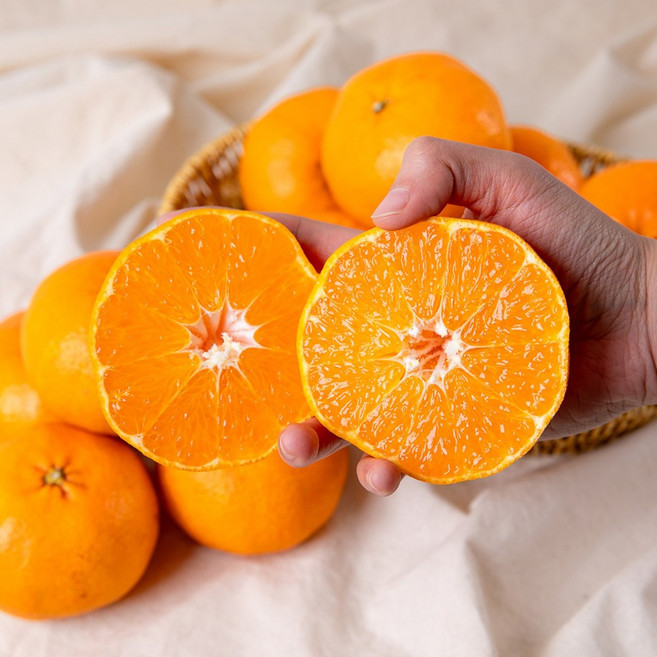 [7일특가]최대19brix 산지직송 제주 고당도 레드향, 1박스, 3kg