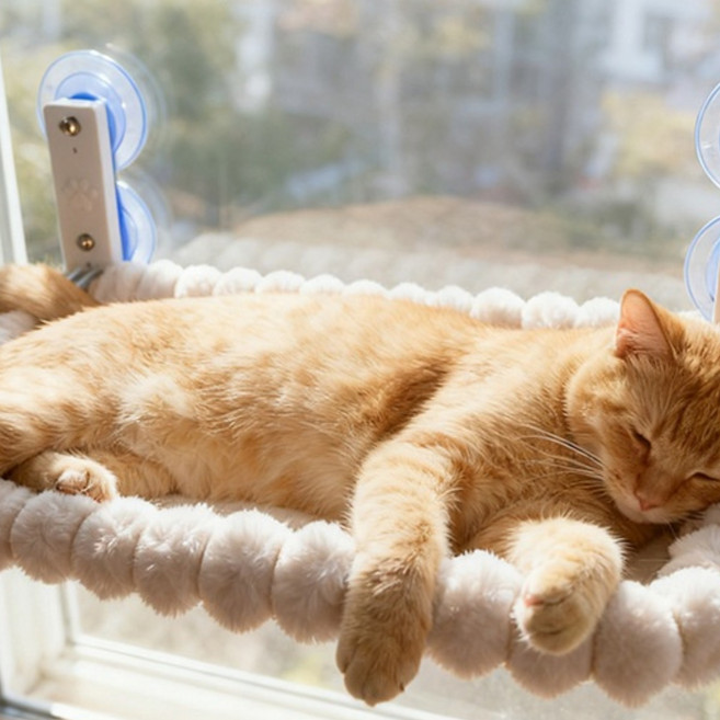 가을 겨울 보온 접이식 베란다 고양이 해먹 강력 빨판 고양이 행거 창문 해먹 살찐 고양이 집, 1개, 화이트