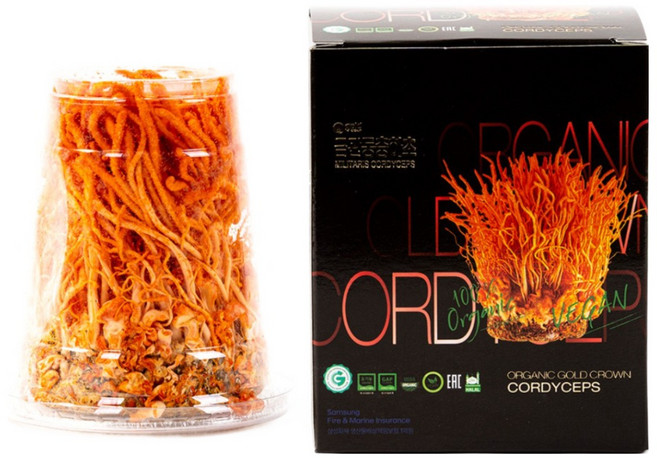 금관 유기농 동충하초 금동초 생물 150g 유기농 현미에서 자란 프리미엄 동충하초, 1개