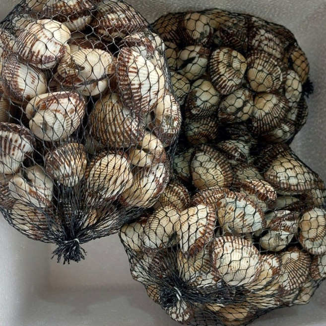 밥도둑 여자만 벌교 새꼬막, 1개, 상5kg