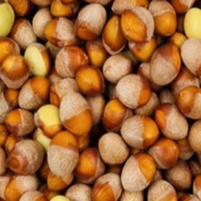 무농약 청정은행 국산 햇 깐 토종 국산 생은행 중 대 특대, 1개, 깐은행 500g(특대)