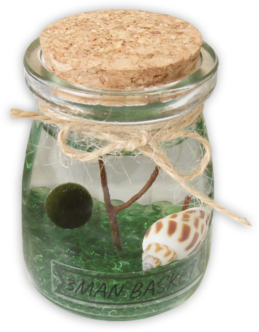 세남자바스켓 푸딩병 국산 마리모 DIY세트, 초록 자갈, 1개