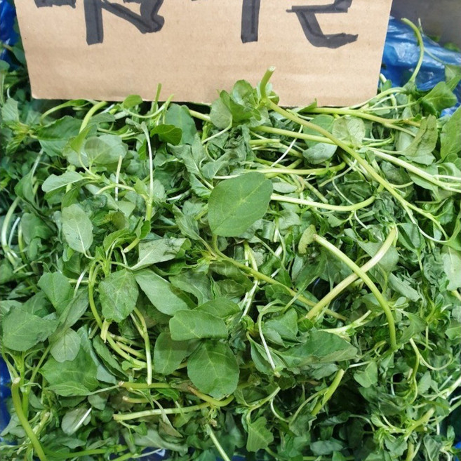 [부드러운] 비름나물 1kg 생쇠비름 쇠비듬, 1개