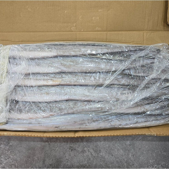 착한물고기 업소용 오만 세네갈 갈치 700-900 마리당 700g 내외 10-11미, 1박스, 세네갈갈치 400-500 8kg