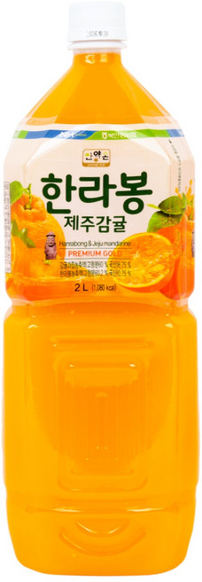 북안동농협 한라봉제주감귤, 1개, 2L