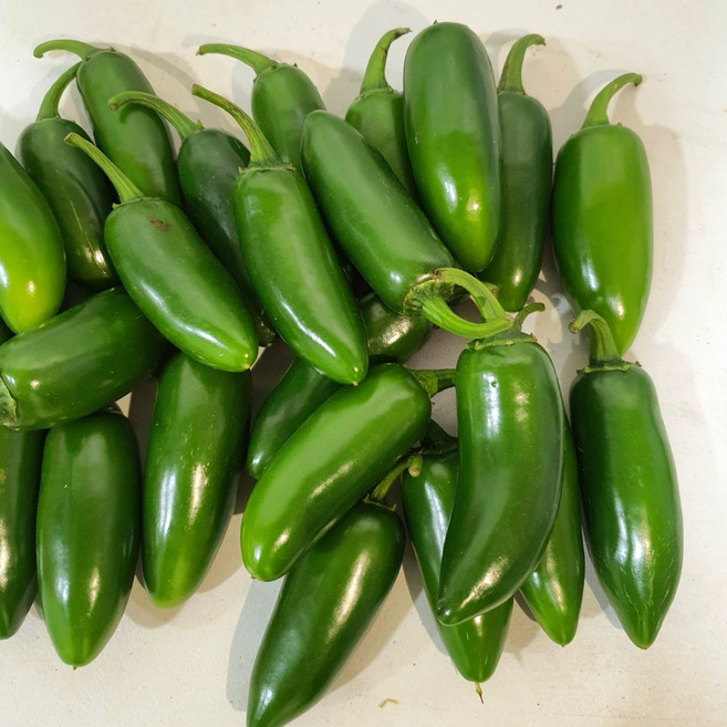 (가락싱싱) 할라피뇨고추 장아찌 피클 생할라피뇨 퍼팩트 고추피클 1kg 3kg 5kg, 할라피뇨1kg, 1박스