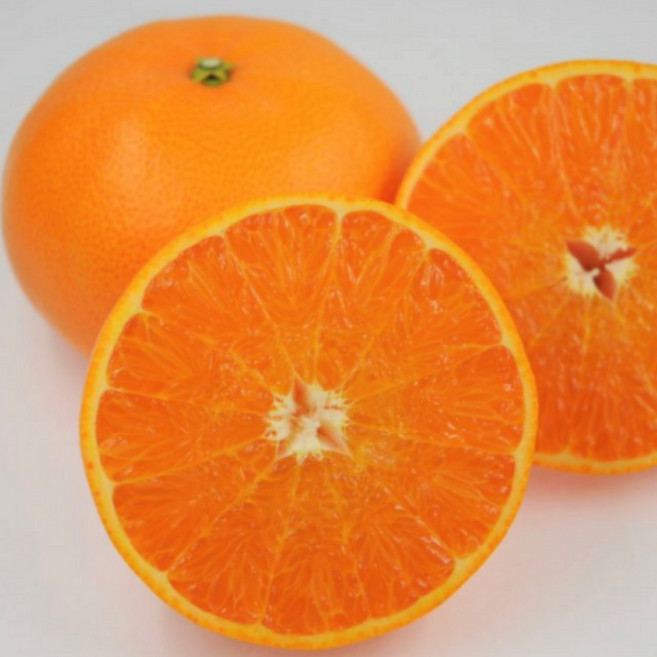 초특가상품 고당도 천혜향 제주산지직송 가정용, 1박스, 고당도 5kg (오늘특가)