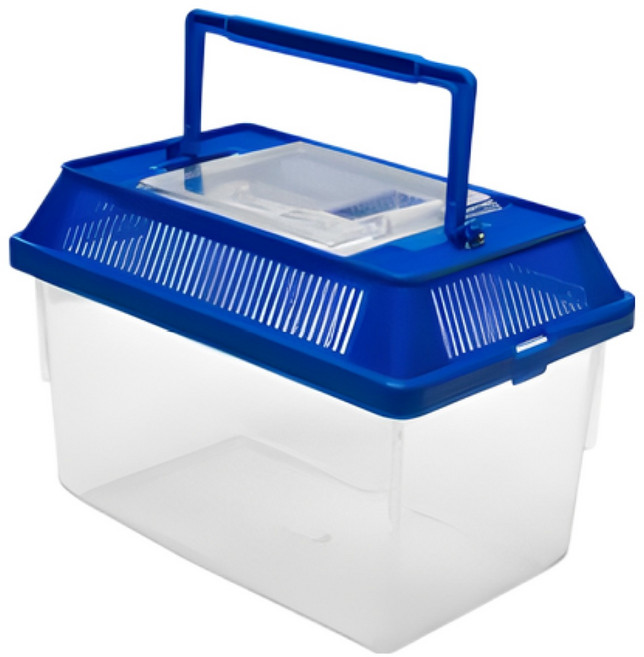 밀웜나라 채집통 소, 1개