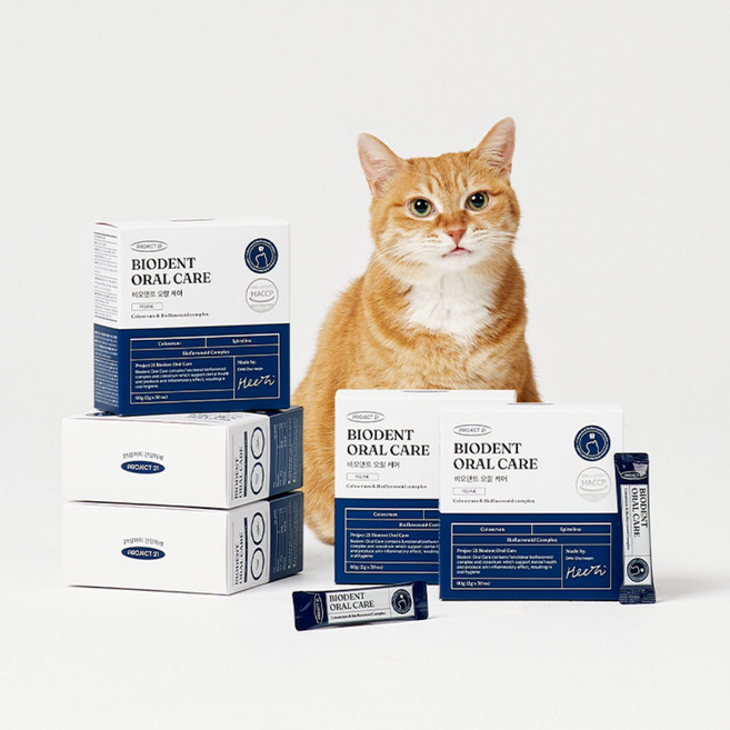 프로젝트21 비오덴트 오랄케어(고양이 구강영양제), 60g, 구강/치석관리, 3개