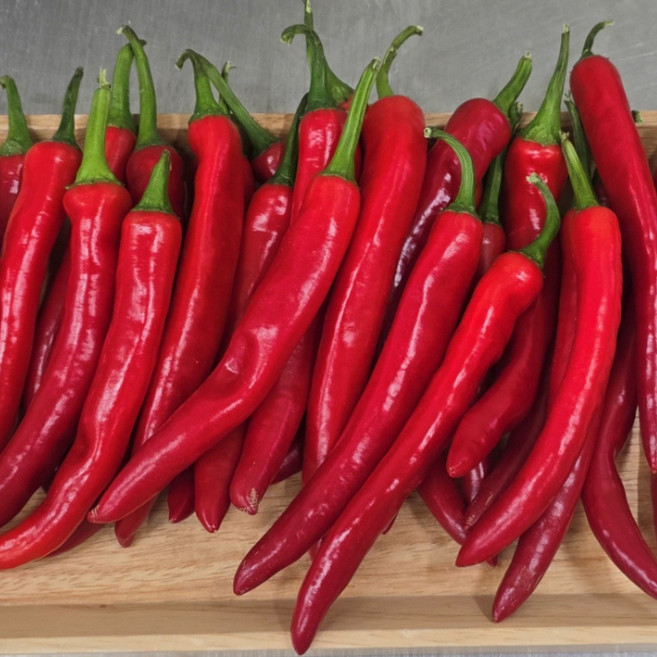 (거북) 국내산 홍고추, 1개, 1kg