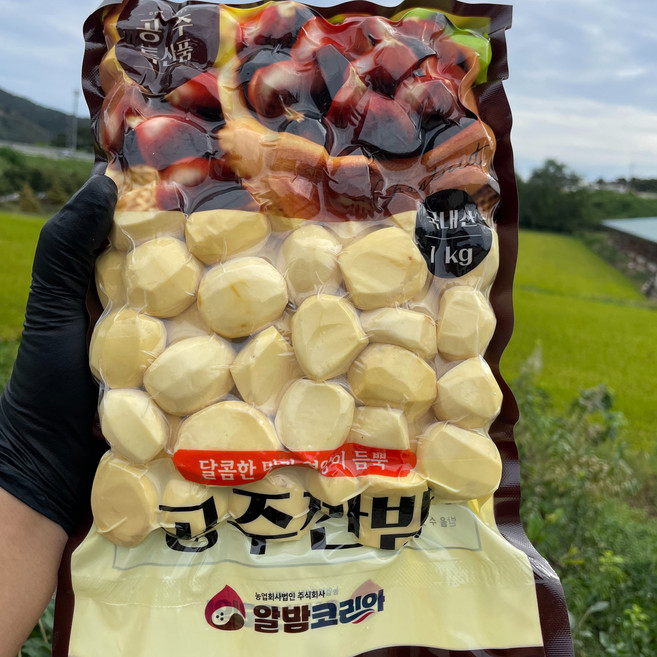 햇 공주 깐밤 알밤 산지직송 당일배송 500g 생율, 1개