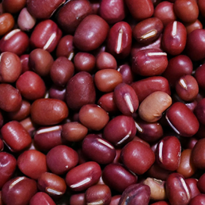 산지직송 국산 햇 팥 적두 2kg 올해수확 고급형, 1개