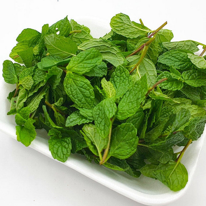 야채이야기 애플민트 생잎 100g, 1개