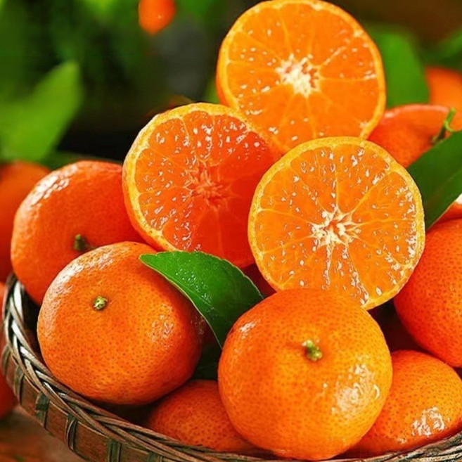 [재구매1위]달찌네 제주 산지직송 과즙폭발 타이벡감귤, 1박스, 5kg 중대과 (L~2L)