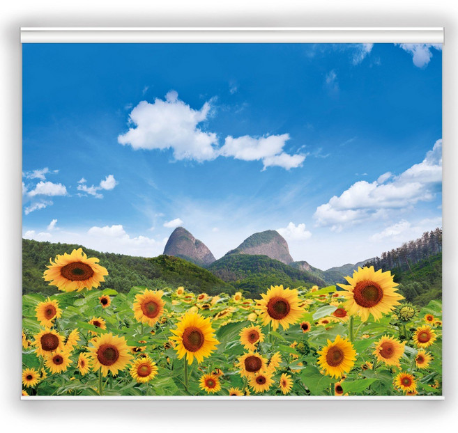 [아르테홈] 실사 암막롤스크린 (꽃2 마이산해바라기)