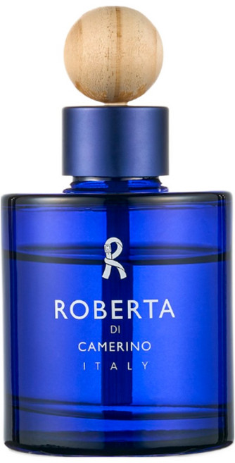 신제품 로베르타 차량용디퓨저 방향제120m, 120ml, 1개, 블루프레스코