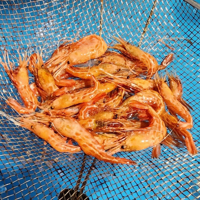 [청년수산][산지직송] 독도새우(급냉), 1개, 닭새우 500g
