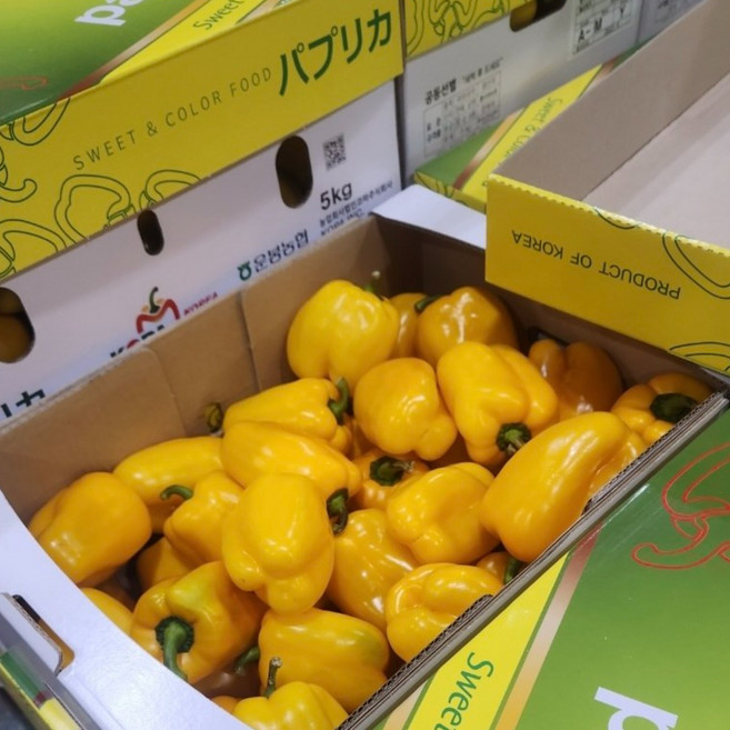 노란 주황 빨간 파프리카 못난이 5kg [원산지:국산], 못난이 노랑 5KG, 1개