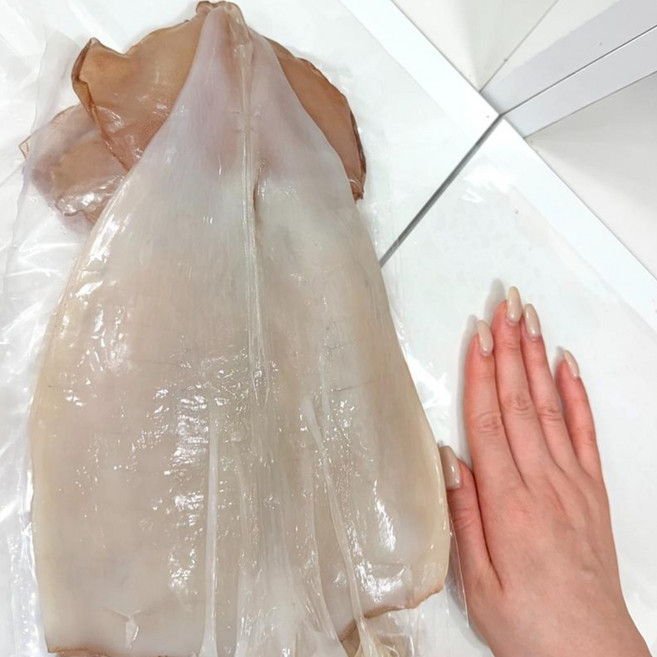 [손보다 큰] 쫄깃하고 통통한 반건조 오징어 오징어, 1개, 950g 특대 내외(5마리)