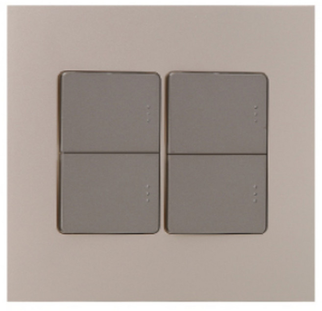 제일전기공업 아도니스 스위치 샴페인골드 1로 4구 2개용, 1개