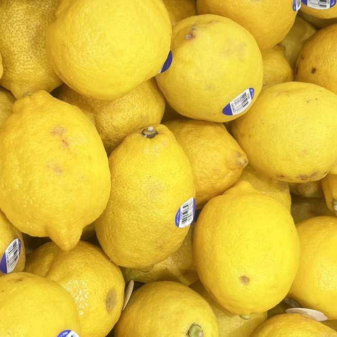 가정용 실속형 못난이 레몬 3kg, 단품, 단품