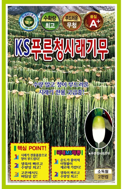 푸른청시래기무 씨앗(2천립) 시래기전용 무청 부드러운 청 수량많음, 1개